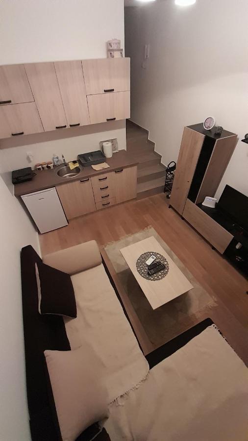 Apartman Tia Vrnjačka Banja Eksteriør billede